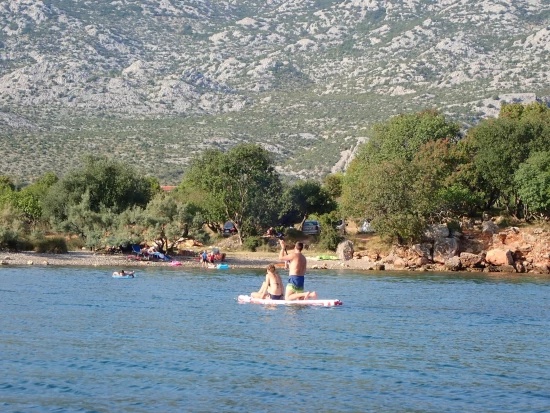 Apartmán Severní Dalmácie - Seline DA 8782 N1