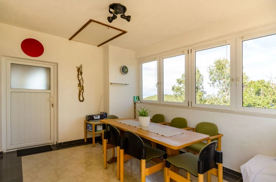 Apartmán Ostrov Hvar - Gdinj OS 10510 N1