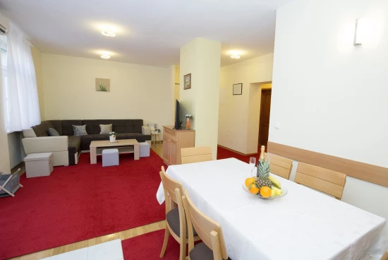 Apartmán Střední Dalmácie - Split DA 8833 N1