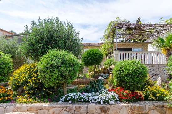 Domek Ostrov Hvar - Basina OS 10528 N1