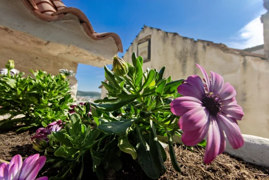 Domek Střední Dalmácie - Trogir DA 9709 N1