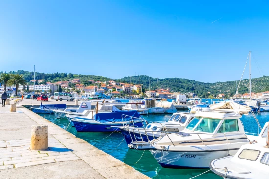 Apartmán Ostrov Korčula - Vela Luka OS 10539 N1