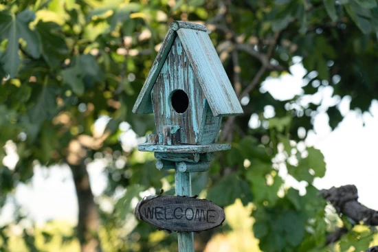 Domek Severní Dalmácie - Drniš (Šibenik) DA 9864 N1