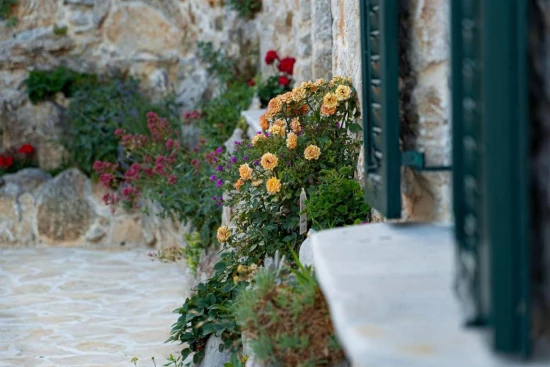 Domek Severní Dalmácie - Drniš (Šibenik) DA 9864 N1