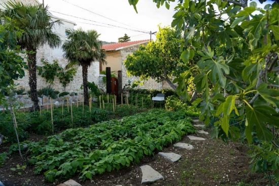 Domek Severní Dalmácie - Drniš (Šibenik) DA 9864 N1