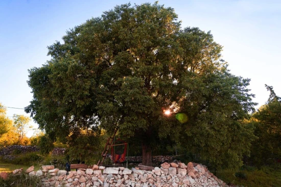 Domek Severní Dalmácie - Drniš (Šibenik) DA 9864 N1