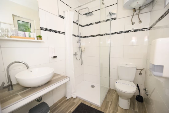 Apartmánový pokoj Ostrov Vir - Vir OS 10546 N5