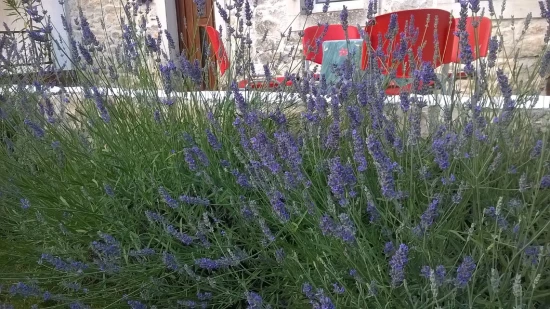 Domek Istrie - Kršan IS 7248 N1