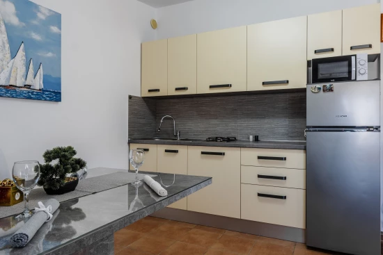 Apartmán Ostrov Vir - Vir OS 10547 N1