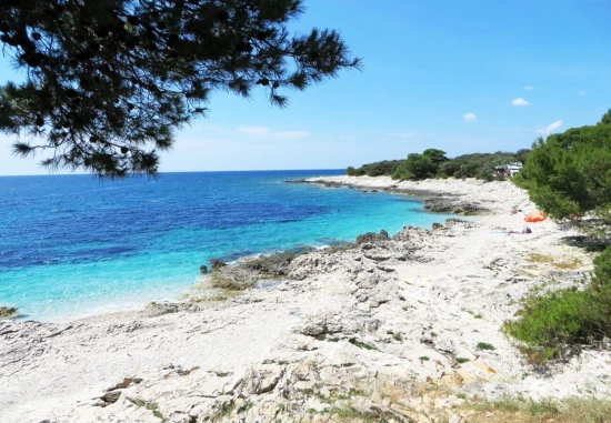 Apartmán Střední Dalmácie - Okrug Gornji DA 10197 N2