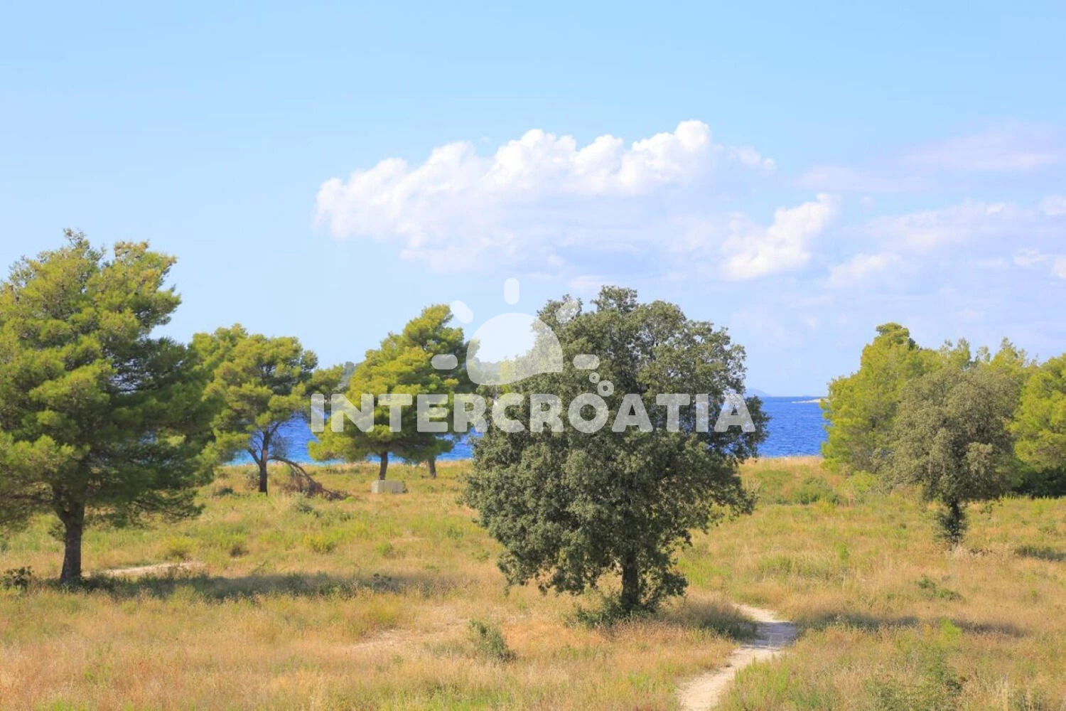 Apartmán Ostrov Rab - Palit OS 11500 N1