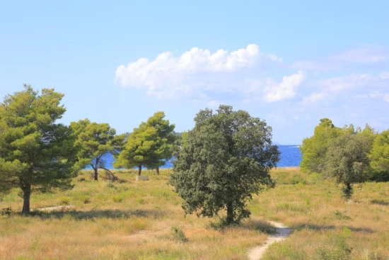 Apartmán Ostrov Rab - Palit OS 11500 N1