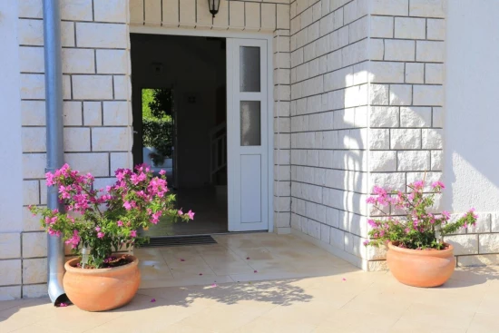 Apartmán Ostrov Rab - Palit OS 11500 N2