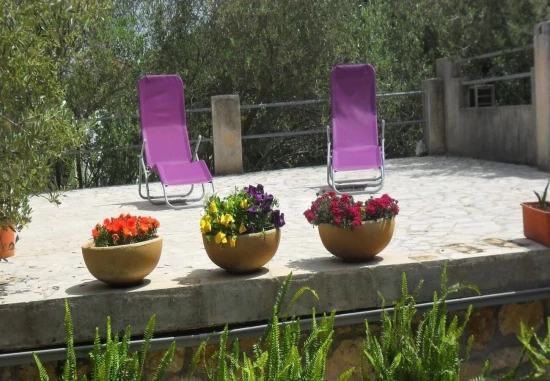 Apartmán Ostrov Korčula - Korčula OS 11519 N4