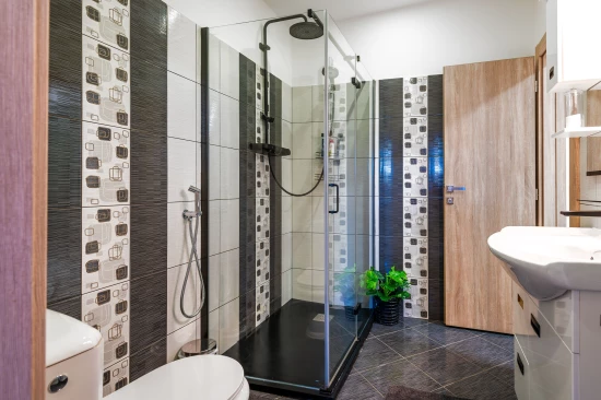 Vila Severní Dalmácie - Konjevrate DA 17002 N1