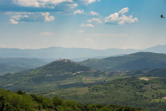 Vila Istrie - Vižinada IS 7988 N1