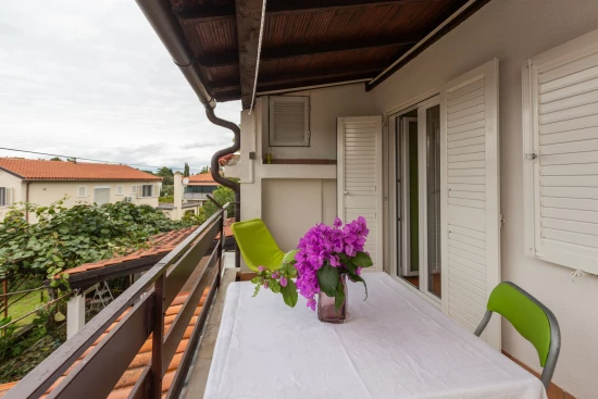 Apartmán Istrie - Poreč IS 7993 N1