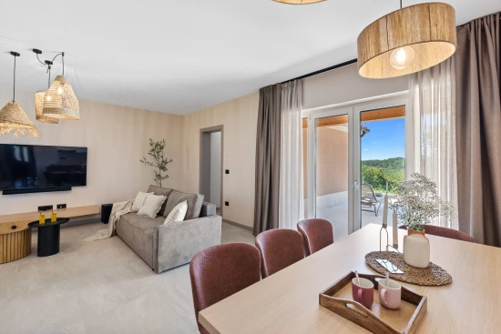 Vila Istrie - Pazin IS 7995 N1