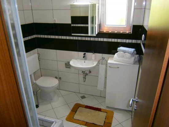 Apartmán Severní Dalmácie - Privlaka DA 17099 N1