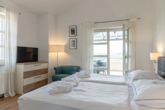 Vila Istrie - Vižinada IS 8000 N1