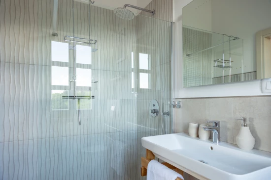 Vila Istrie - Vižinada IS 8000 N1