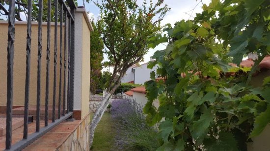 Domek Severní Dalmácie - Vrsi (Nin) DA 17104 N1