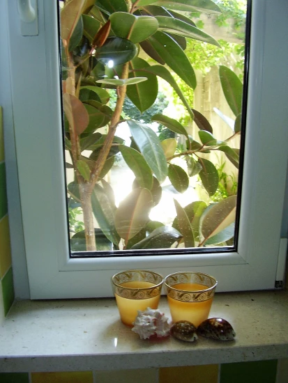 Apartmán Střední Dalmácie - Drašnice (Makarska) DA 17105 N1