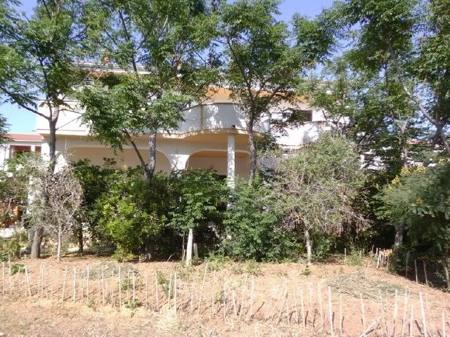 Apartmán Ostrov Pag - Pag OS 12012 N1