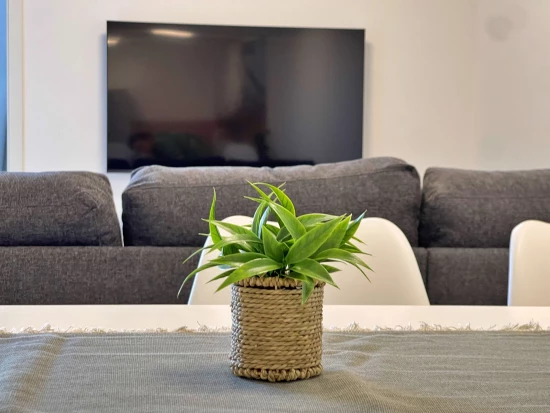 Apartmán Ostrov Krk - Šilo OS 12016 N1