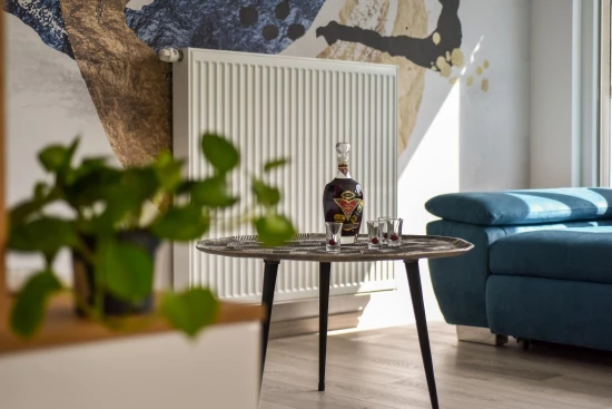 Domek Severní Dalmácie - Privlaka DA 17109 N1