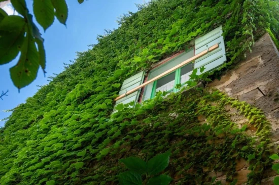 Apartmán Istrie - Momjan IS 8009 N1