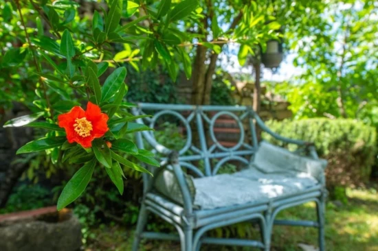 Apartmán Istrie - Momjan IS 8009 N1