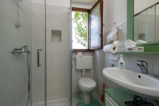 Apartmán Istrie - Momjan IS 8009 N1