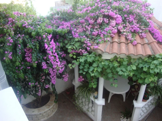 Apartmán Severní Dalmácie - Vodice DA 17113 N4