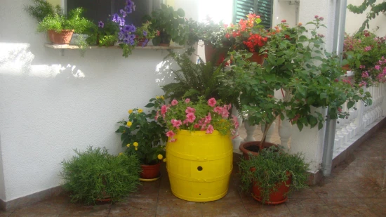 Apartmán Severní Dalmácie - Vodice DA 17113 N5