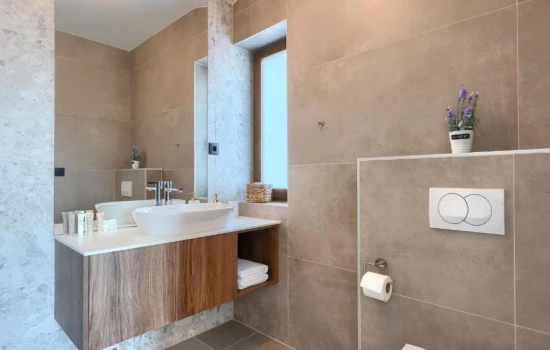 Vila Istrie - Višnjan IS 8013 N1