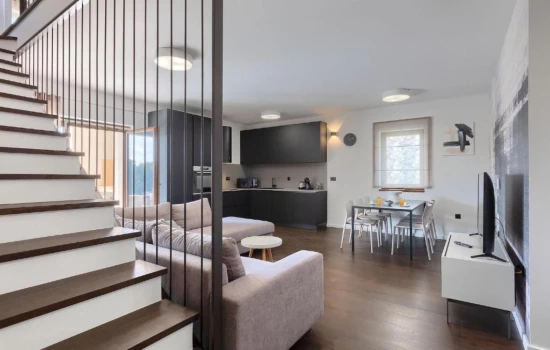 Vila Istrie - Višnjan IS 8014 N1