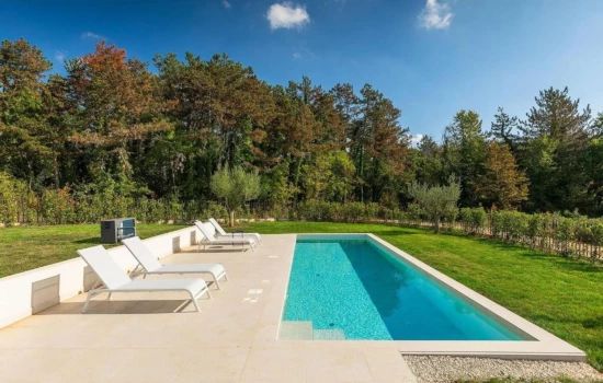 Vila Istrie - Višnjan IS 8016 N1