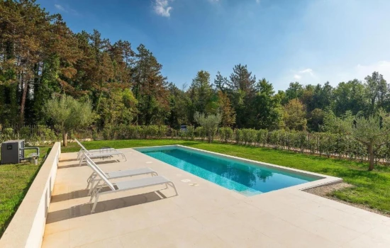 Vila Istrie - Višnjan IS 8016 N1