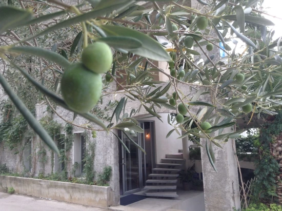 Apartmán Střední Dalmácie - Drašnice (Makarska) DA 17118 N4