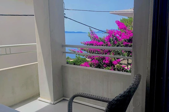 Apartmán Střední Dalmácie - Drašnice (Makarska) DA 17118 N4