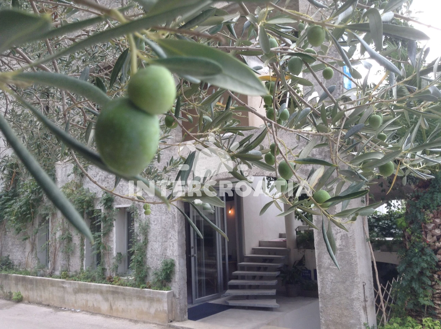 Apartmán Střední Dalmácie - Drašnice (Makarska) DA 17119 N1