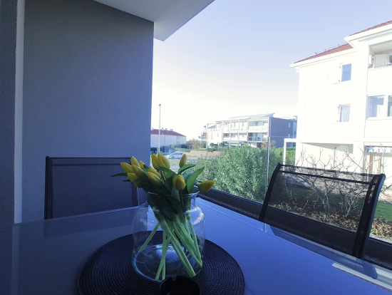 Apartmán Istrie - Zambratija (Savudrija) IS 8018 N8