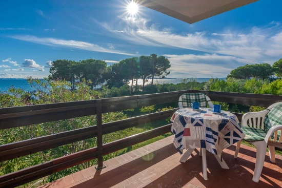 Apartmán Severní Dalmácie - Privlaka DA 17121 N1