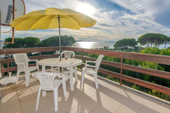 Apartmán Severní Dalmácie - Privlaka DA 17121 N2