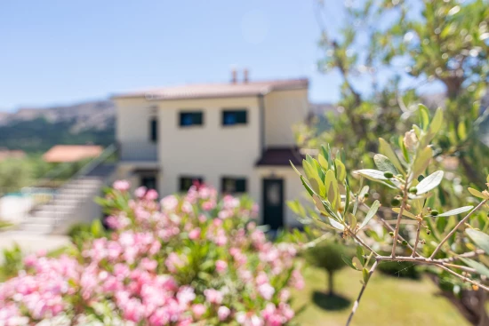 Apartmán Ostrov Krk - Baška OS 12026 N1