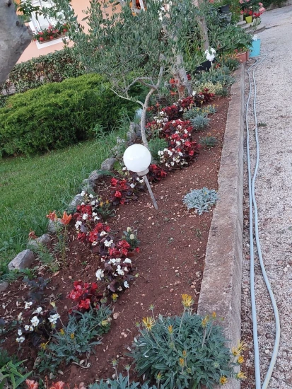 Apartmán Ostrov Krk - Šilo OS 12044 N1