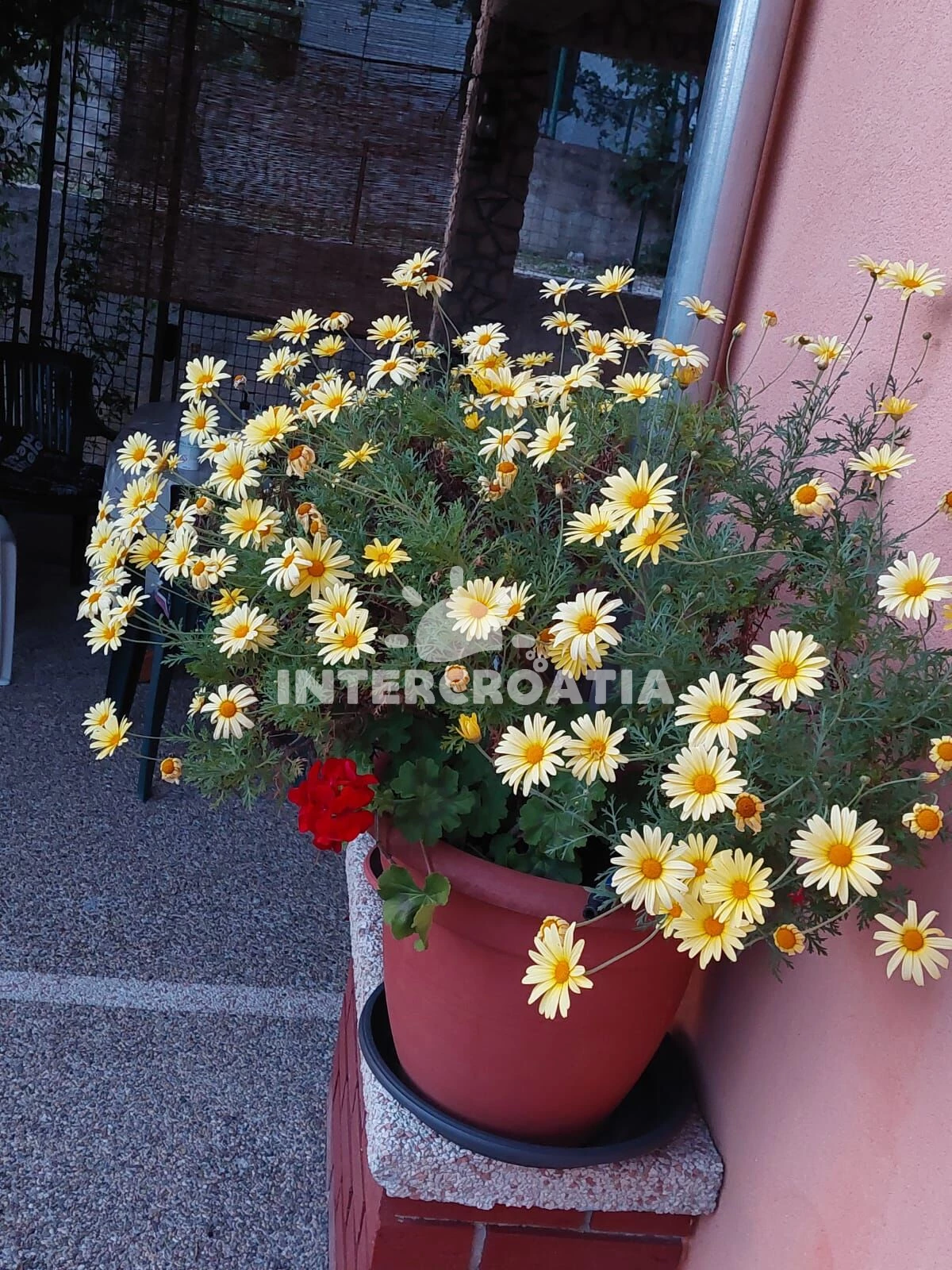 Apartmán Ostrov Krk - Šilo OS 12044 N2