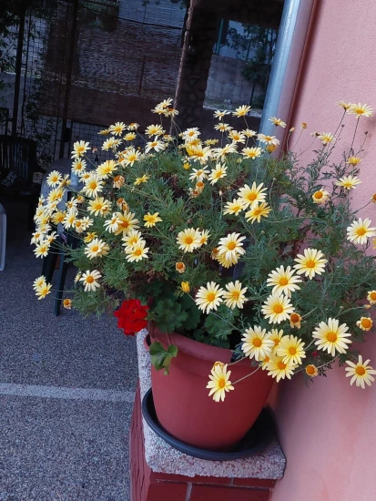 Apartmán Ostrov Krk - Šilo OS 12044 N2