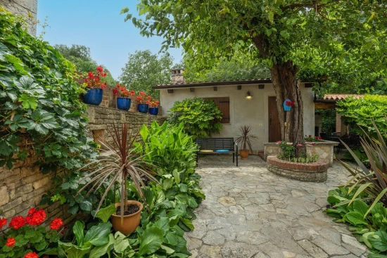 Apartmán Istrie - Barban IS 8025 N1